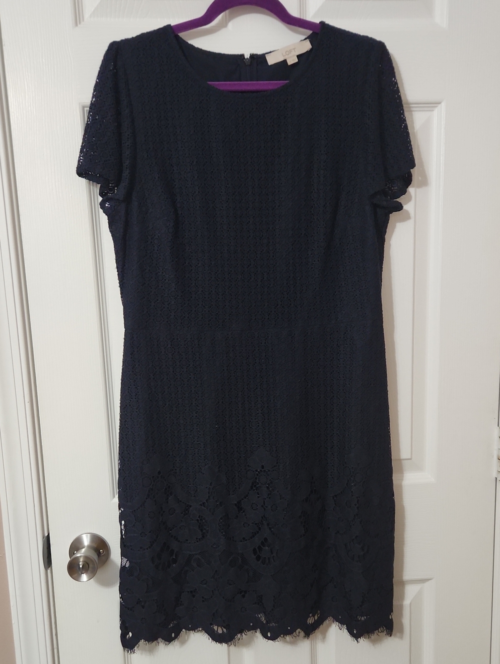 Fall Office Work Job LOFT Navy Lace Short Sleeve Sheath Dress with Scalloped Hem